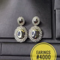 Beautiful Silver Earrings