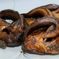 Dried Catfish