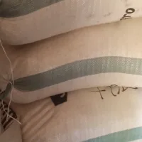 Well fried and tasty Edo Garri 50KG