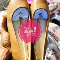 Female Flat Shoe